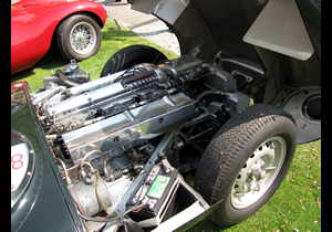 Jaguar D Type open 2-seater 1955